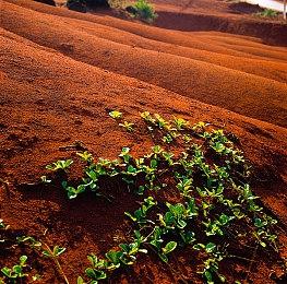 经典重生《星球大战：旧共和国武士 重制版》登陆PC和PS5