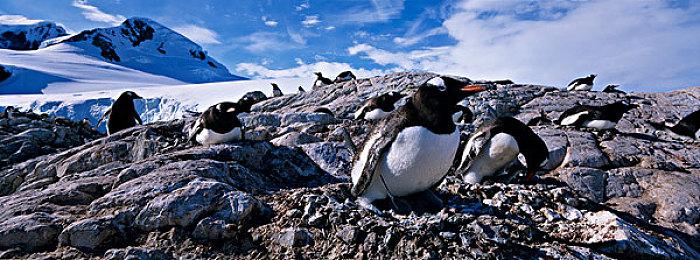 《公主与秽欲的献祭》已于STEAM平台正式上市！